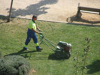 lawn aeration allows water, nutrients and oxygen to get to the root area