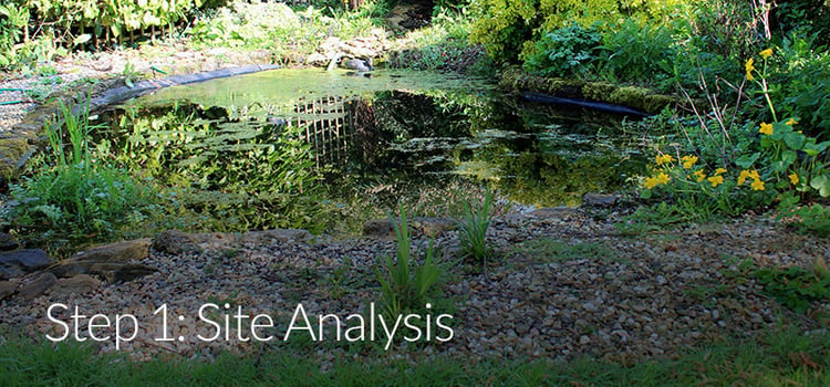 Landscape Design Site Analysis