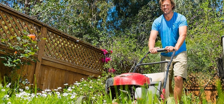 Hire a Professional Lawn Service rather than doing it yourself