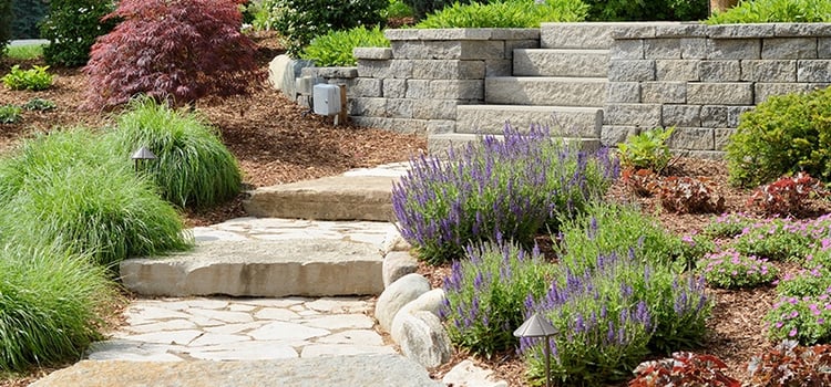 Integrate more hardscaping to define areas of your landscape