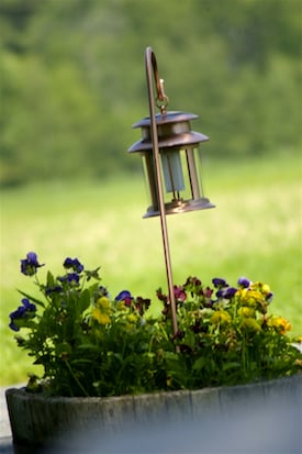 Halogen and LED and Solar Landscape Lighting, Oh My!