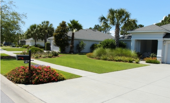summer landscaping care in florida