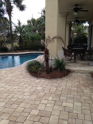 how to care for your florida panhandle landscape after a hard freeze