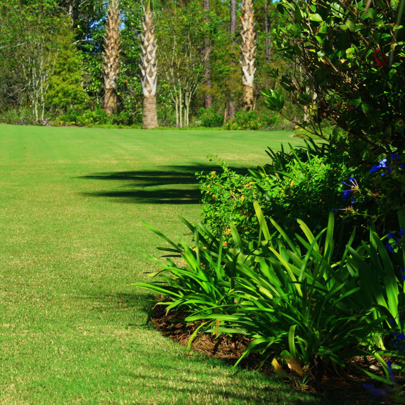 florida panhandle turfgrass