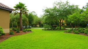 5 Factors To Consider When Choosing Your Landscape Contractor