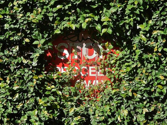 overgrown shrubs on commercial properties can become a costly liability
