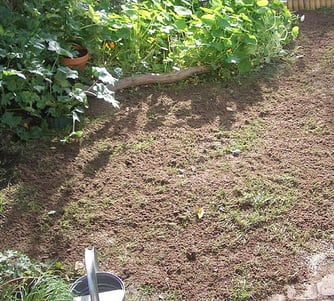topsoil is a lawn top dressing that is rich in nutrients
