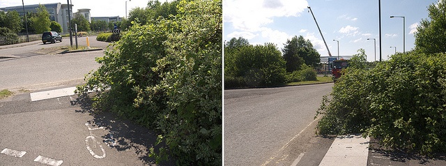 overgrown shrubs and hedges can be dangerous for drivers and pedestrians on commercial properties