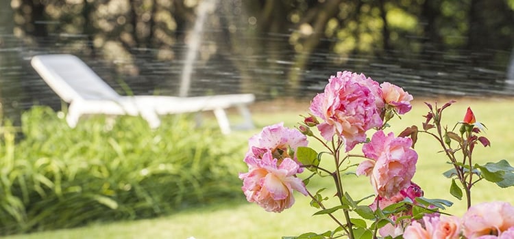 Adjust Your Irrigation Schedule as You Adjust Winter Lawn Care