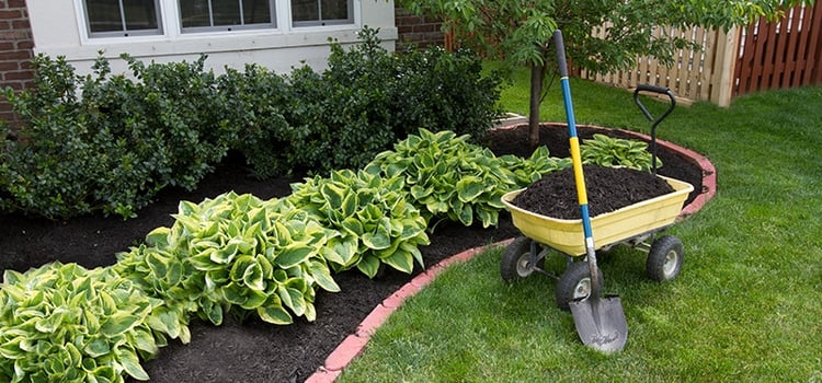 Using Mulch to Control Weeds