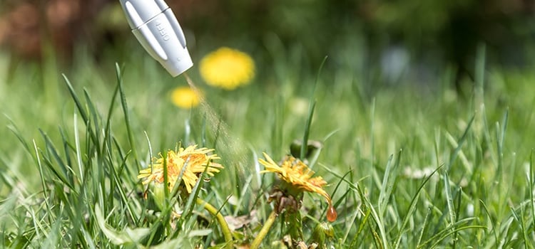 Using Selective Herbicides to Control Weeds