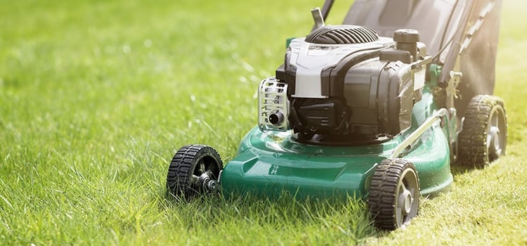 It is a myth that cutting grass shorter means you won't have to mow as often