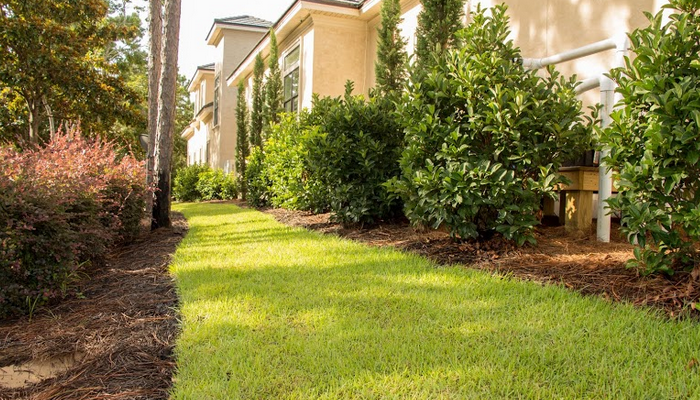 mature plants in this Sandestin landscape give the home a truly lived-in look