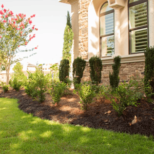 using mature plant material give Florida landscapes an established look