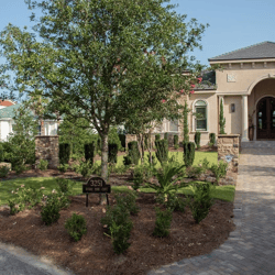 Greenearth provided the complete landscaping services for Jim and Ann Barri's new Sandestin home