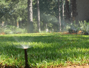 irrigation ineffectiveness is a sign of poor landscaping