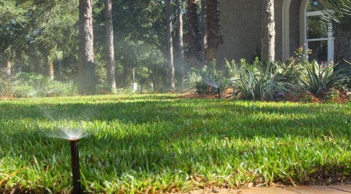 adjusting watering schedules is part of wintering your Florida lawn