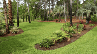 winter lawn care in Florida is important to ensure green, lush grass in spring