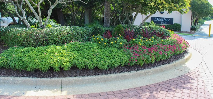 landscape plantings of varying height are a good plan for driveways leading up to commercial properties