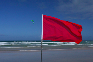 review commercial landscape maintenance contracts closely to identify red flags