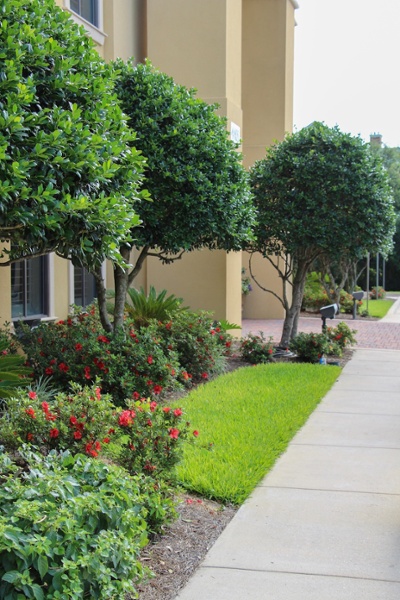 commercial landscaping florida