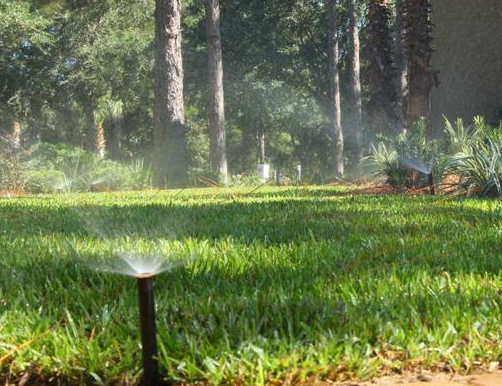 Check out our NWFL landscaping irrigation water management services